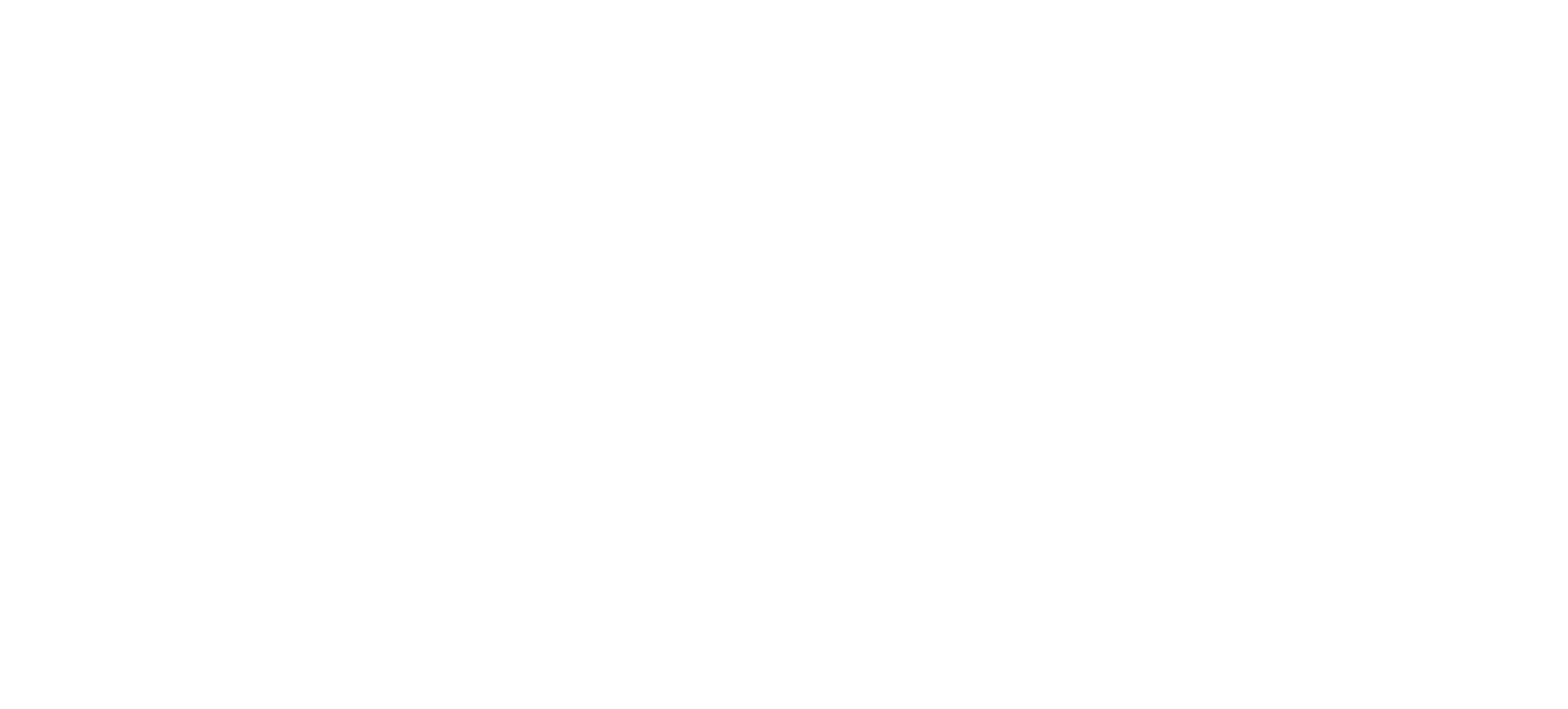Ludium